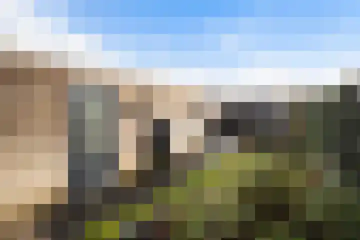 Sterrenmos 62 Zwolle thumbnail 13