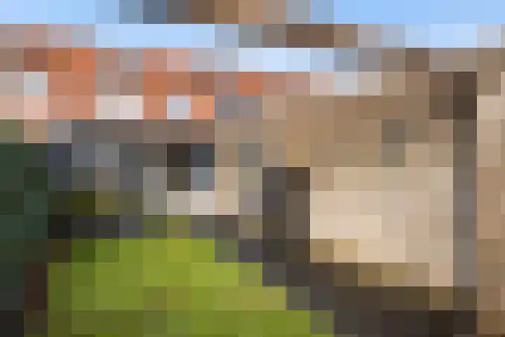 Sterrenmos 62 Zwolle thumbnail 15