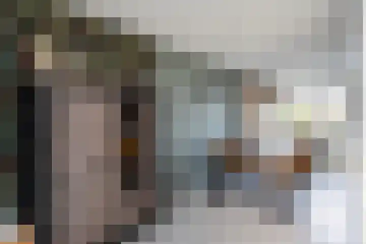 Sterrenmos 62 Zwolle thumbnail 16