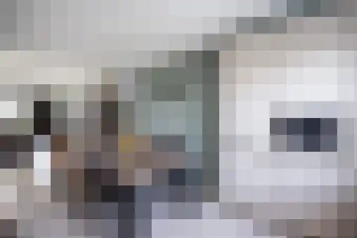 Sterrenmos 62 Zwolle thumbnail 18