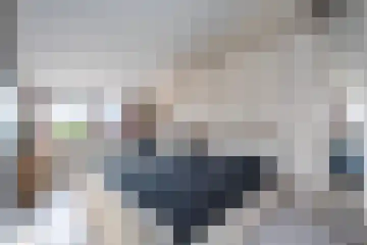 Sterrenmos 62 Zwolle thumbnail 24