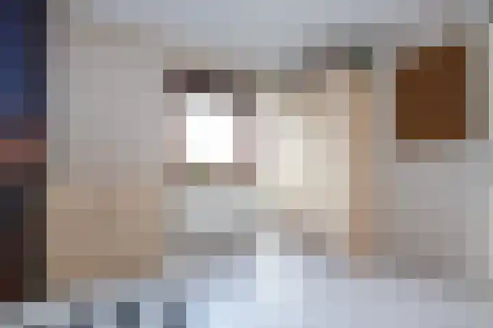 Sterrenmos 62 Zwolle thumbnail 30