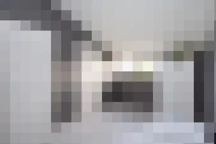 Sterrenmos 62 Zwolle thumbnail 35