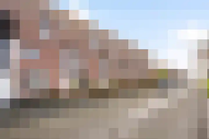 Sterrenmos 62 Zwolle thumbnail 36