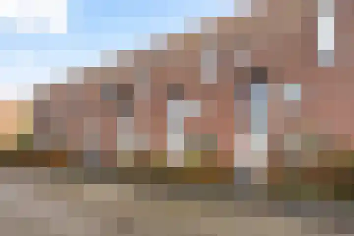 Sterrenmos 62 Zwolle thumbnail 37