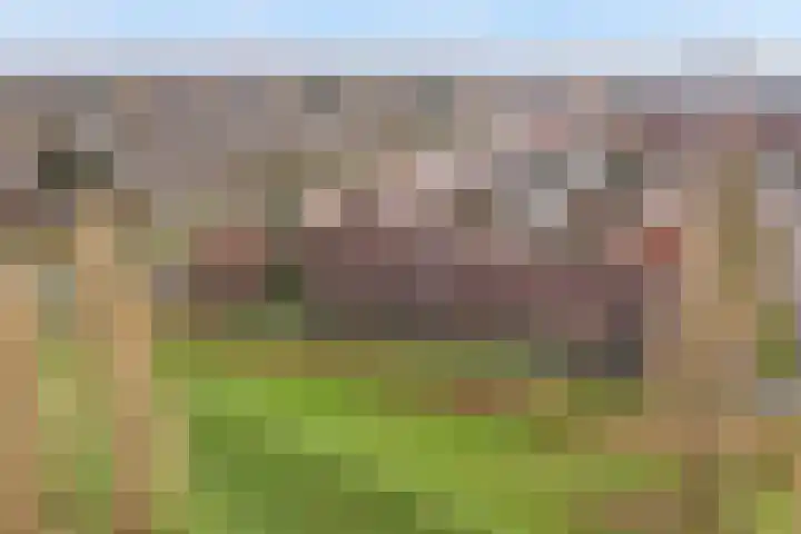 Sterrenmos 62 Zwolle thumbnail 39