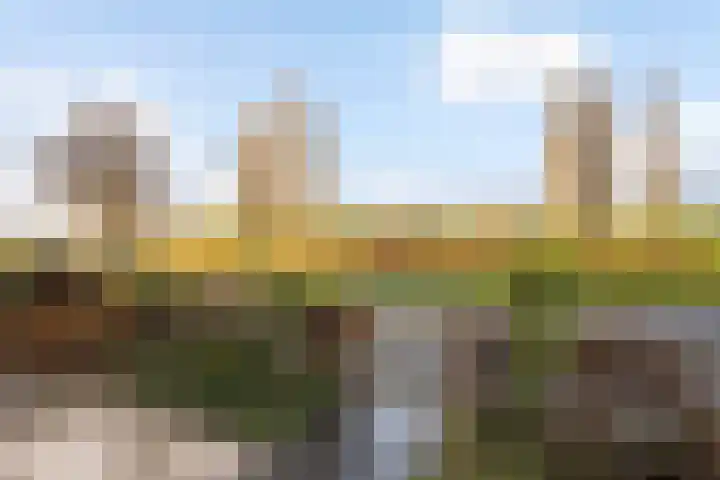 Sterrenmos 62 Zwolle thumbnail 4