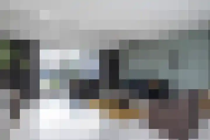 Sterrenmos 62 Zwolle thumbnail 5