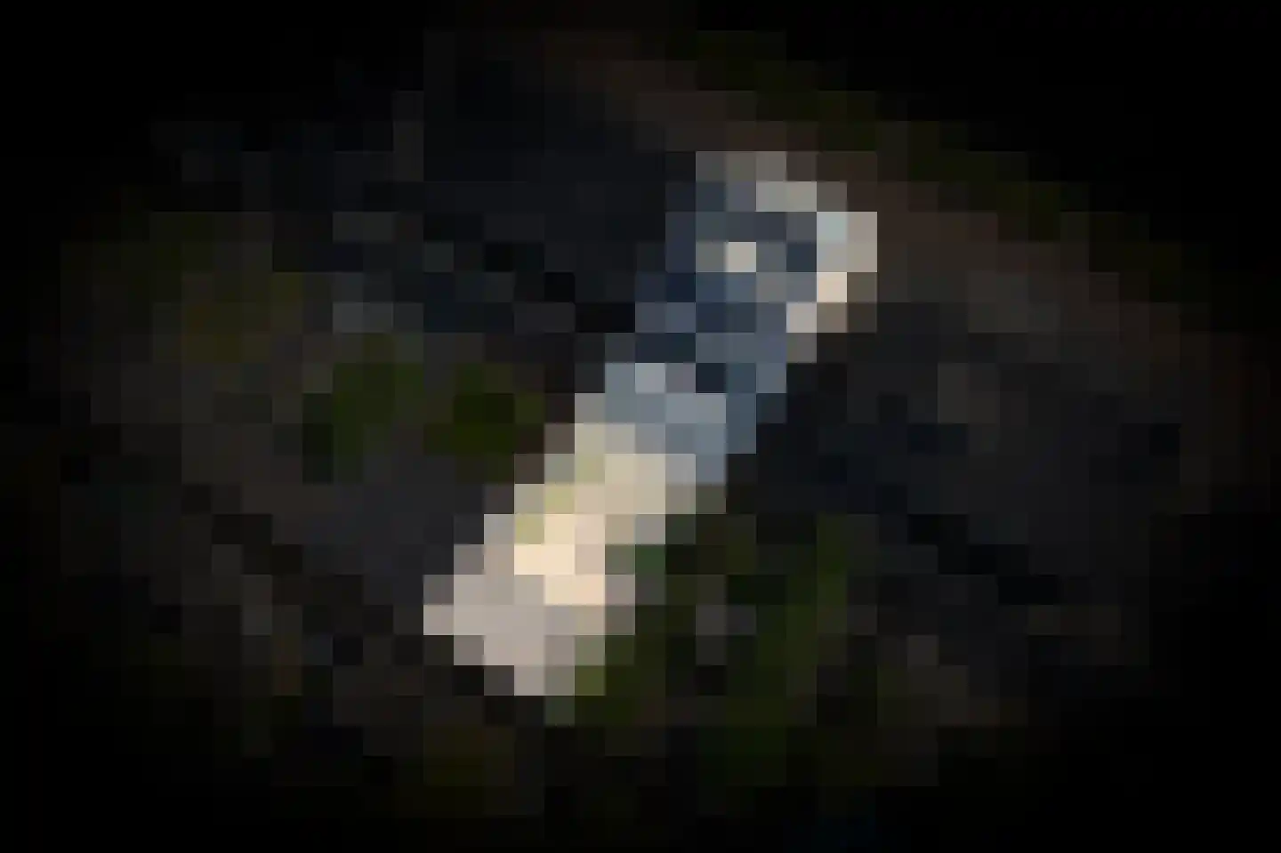 Sterrennacht 10 Helvoirt thumbnail 37