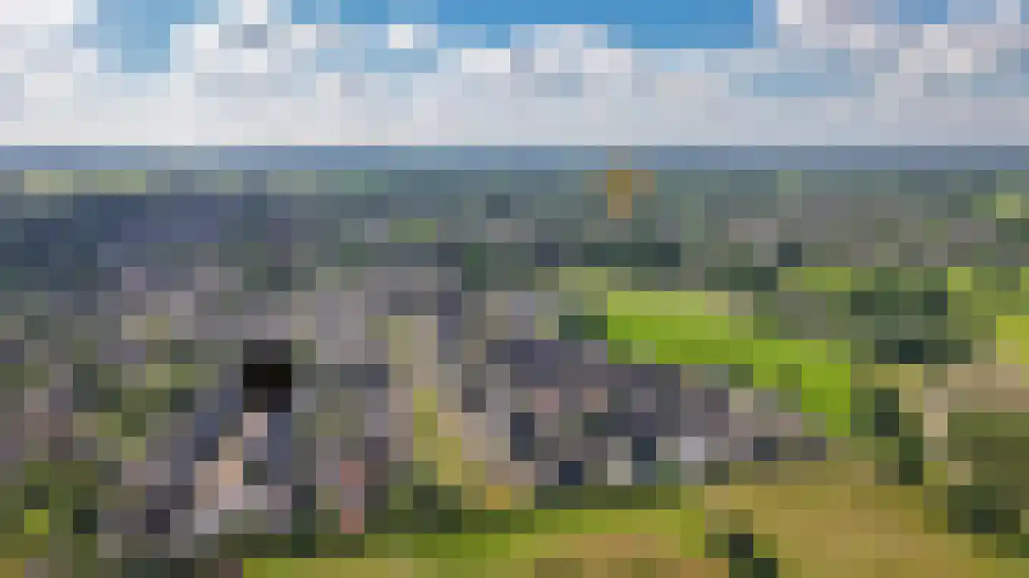Sterrennacht 10 Helvoirt thumbnail 38