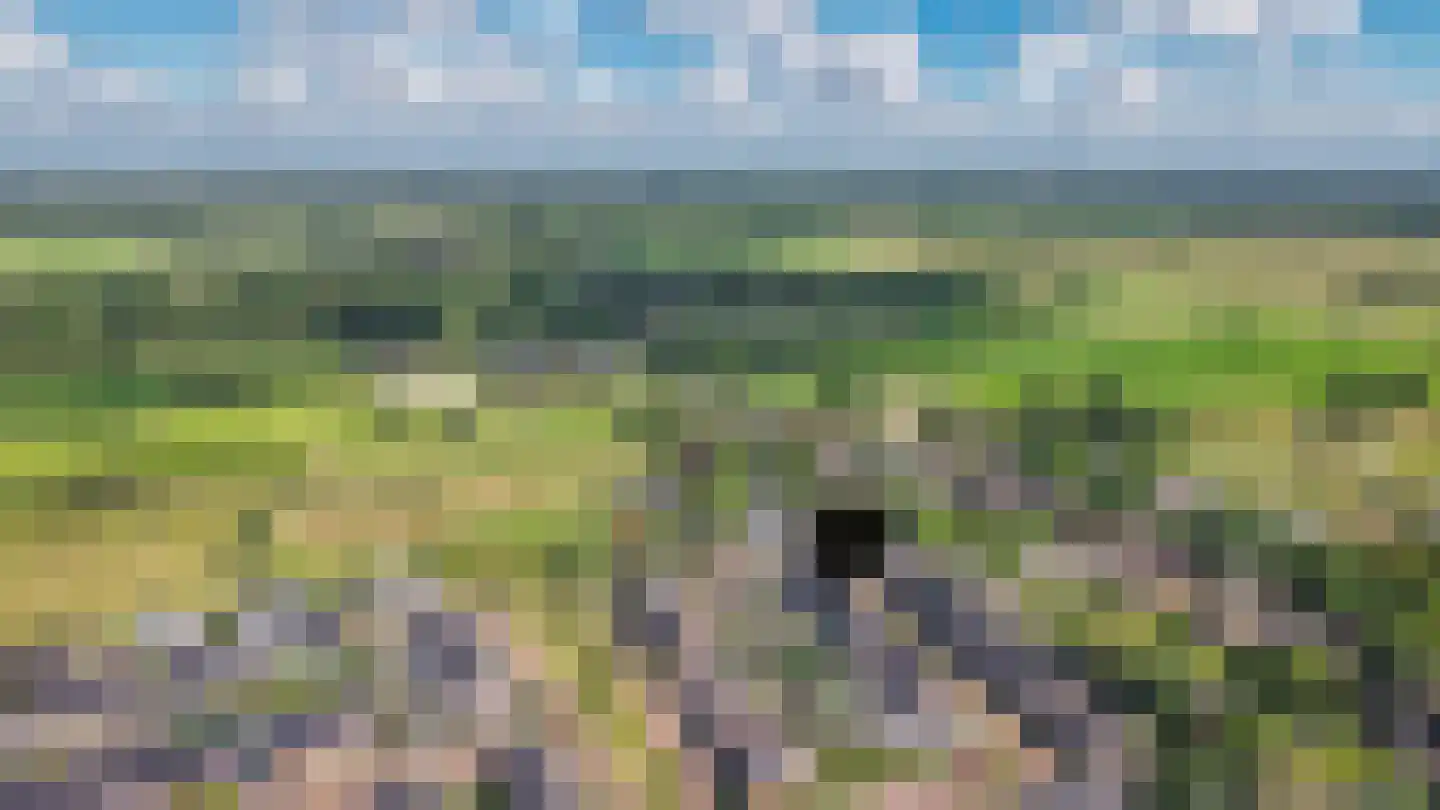 Sterrennacht 10 Helvoirt thumbnail 39