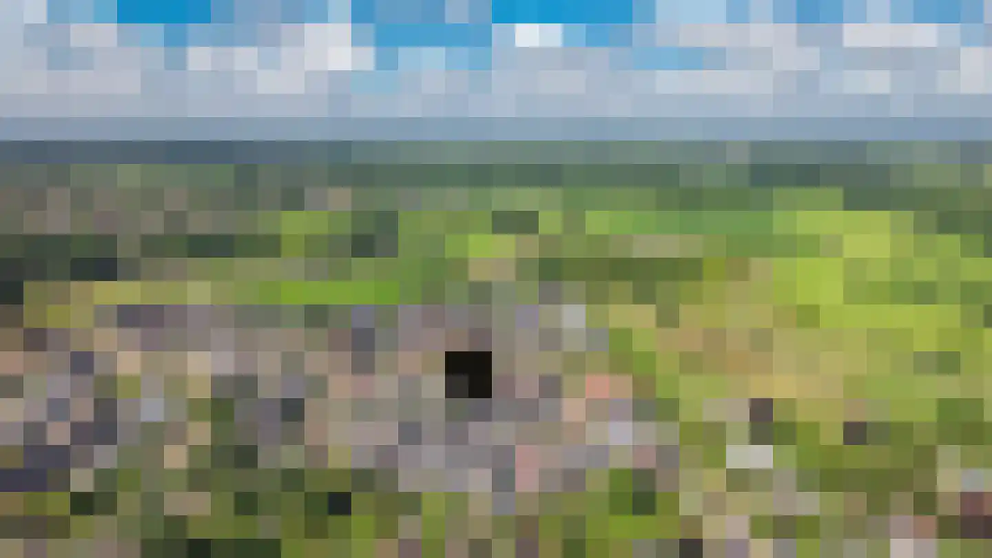 Sterrennacht 10 Helvoirt thumbnail 40