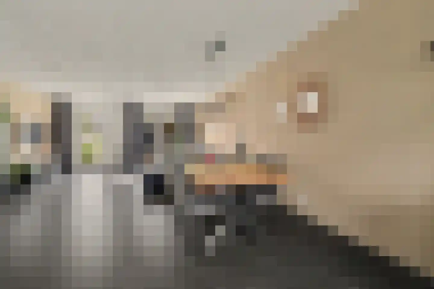 Sterrennacht 11 Helvoirt thumbnail 10