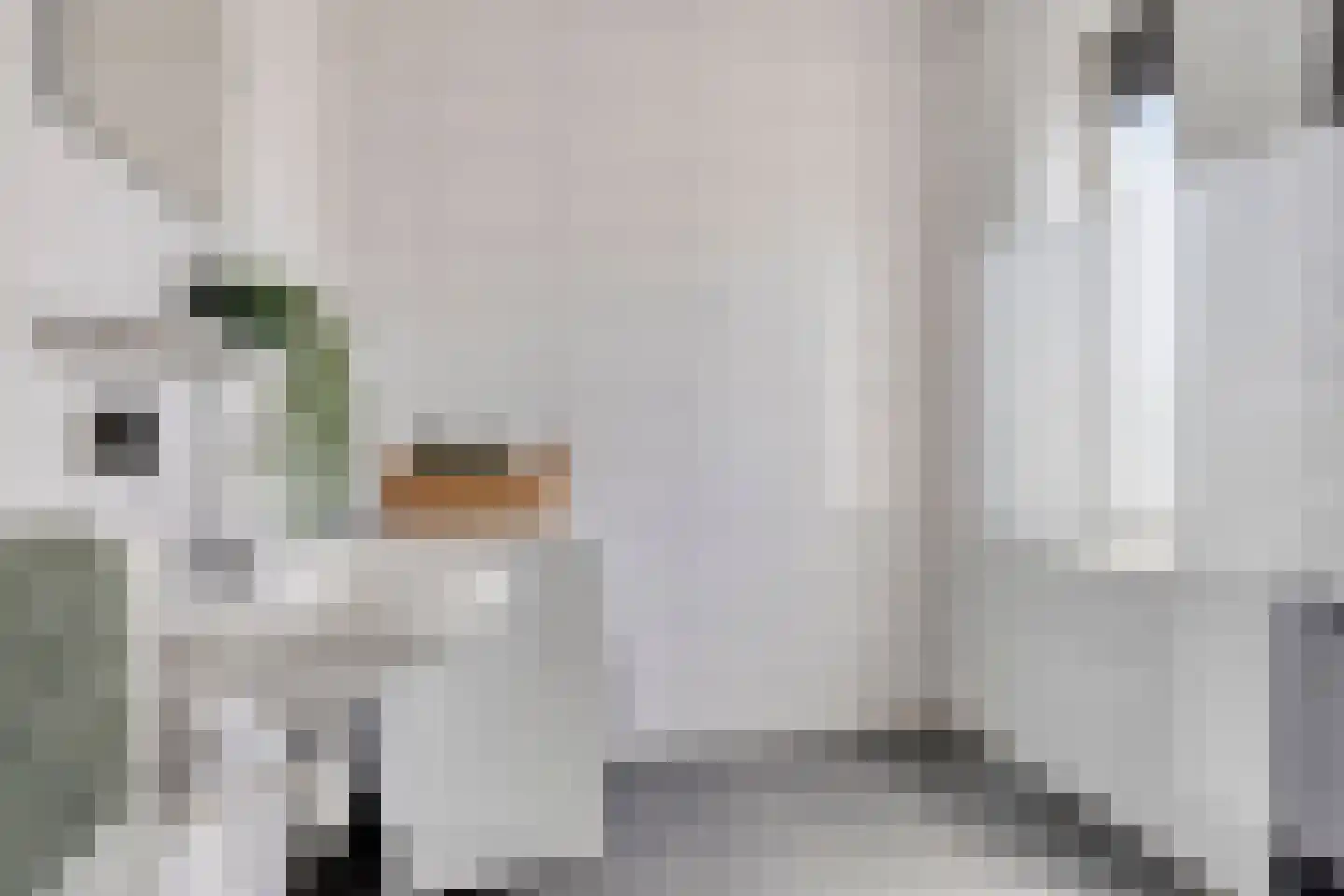 Sterrennacht 28 Helvoirt thumbnail 13