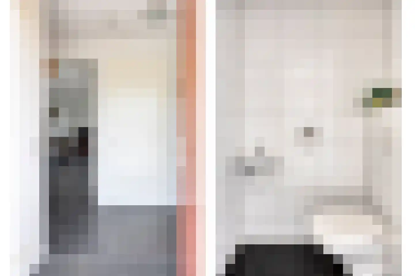 Sterrennacht 28 Helvoirt thumbnail 16