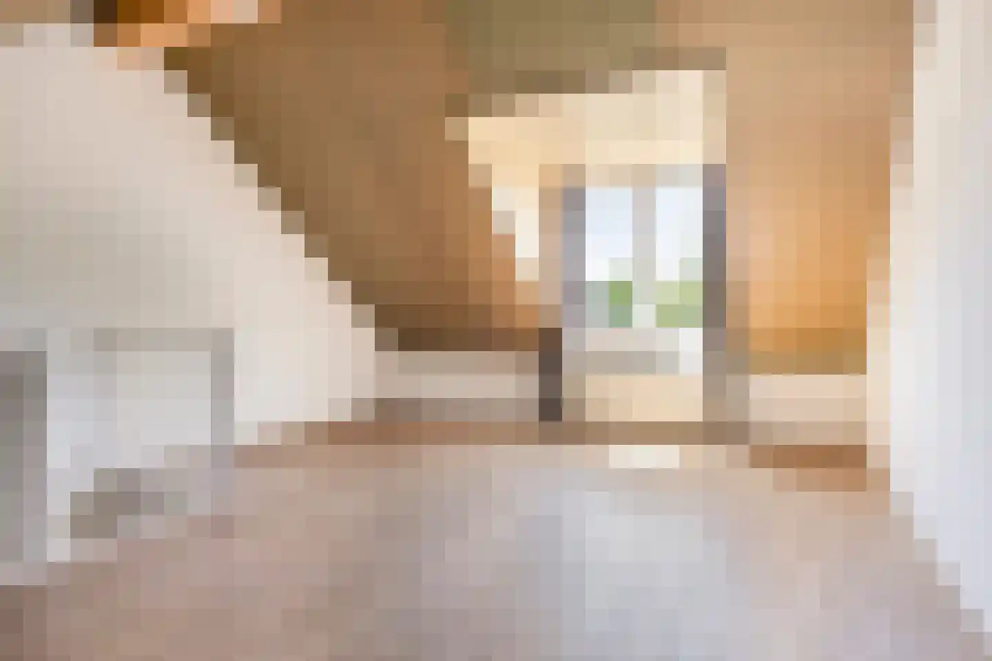 Sterrennacht 28 Helvoirt thumbnail 18