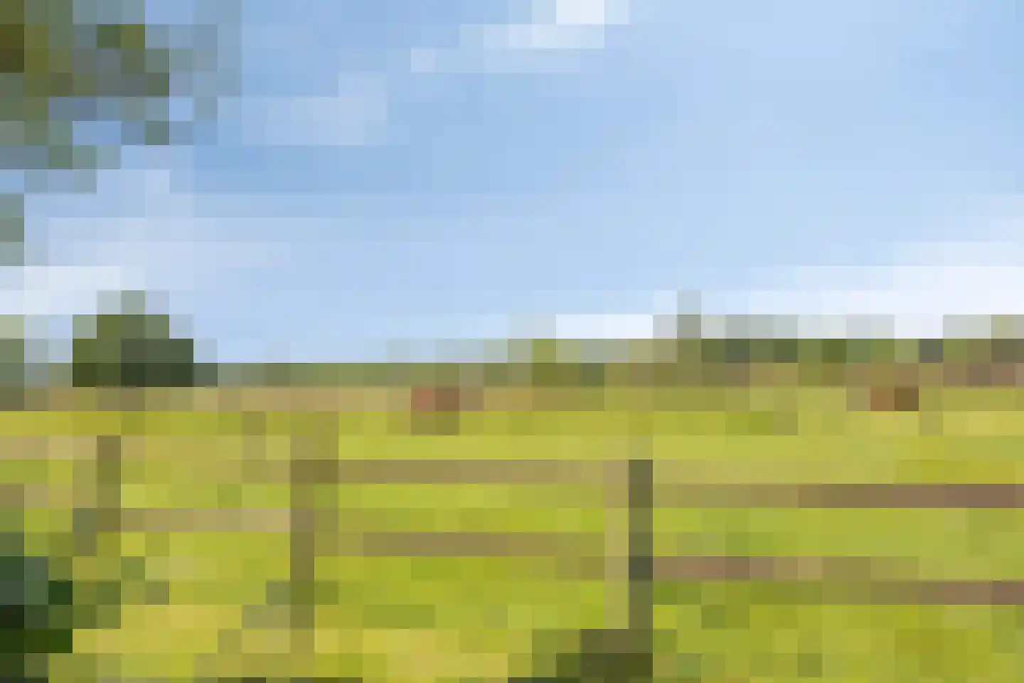 Sterrennacht 28 Helvoirt thumbnail 34