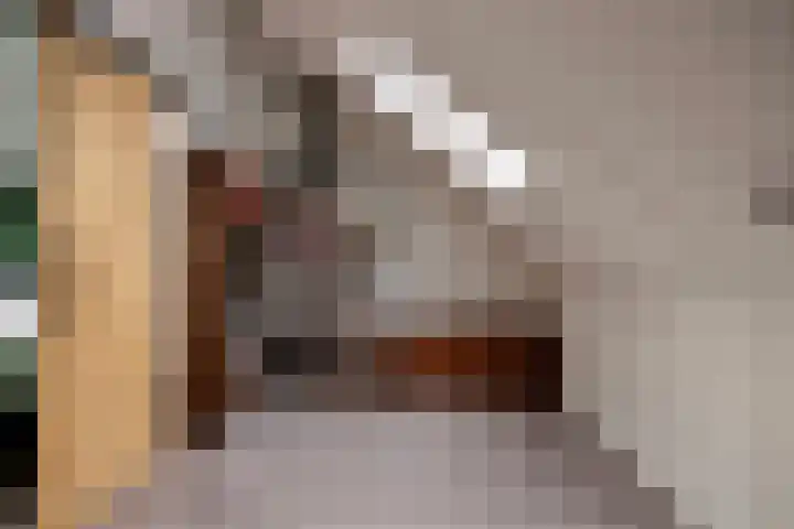 Sterrennacht 32 Helvoirt thumbnail 18