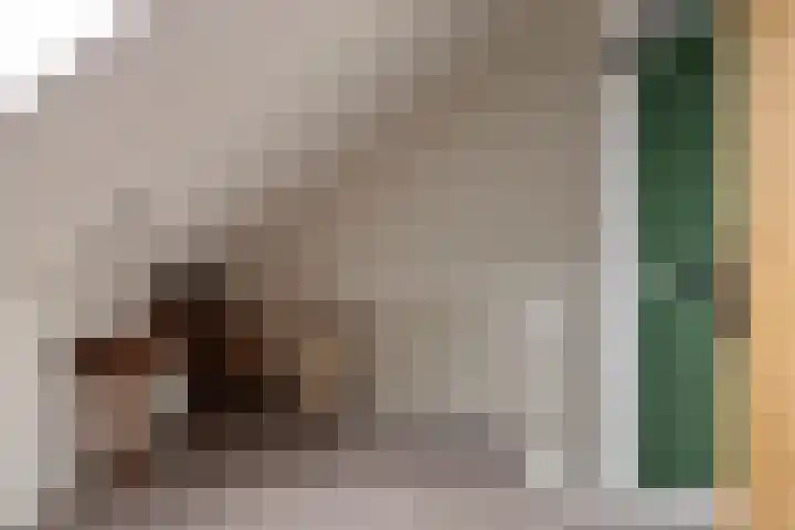 Sterrennacht 32 Helvoirt thumbnail 19