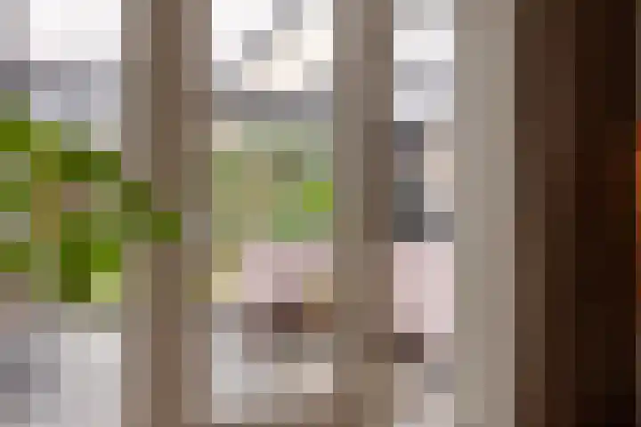 Sterrennacht 32 Helvoirt thumbnail 22