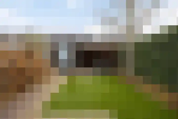 Sterrennacht 32 Helvoirt thumbnail 25