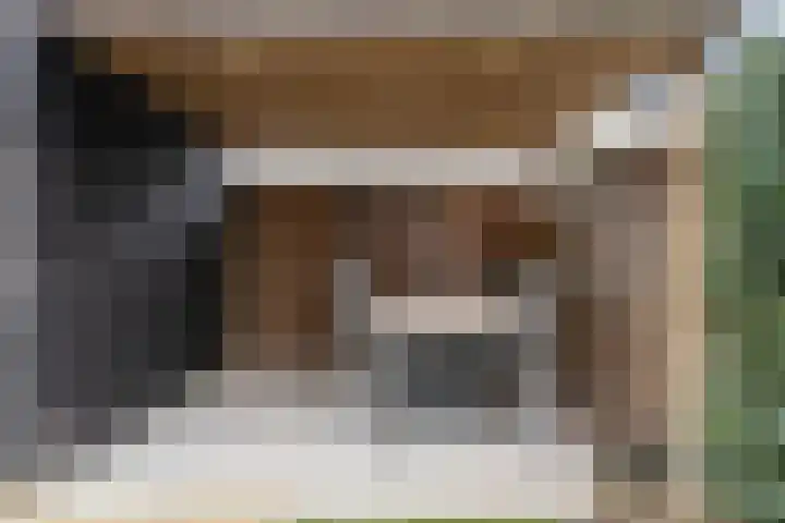 Sterrennacht 32 Helvoirt thumbnail 26