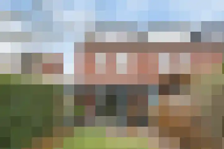 Sterrennacht 32 Helvoirt thumbnail 27