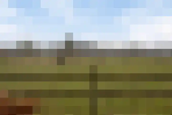Sterrennacht 32 Helvoirt thumbnail 31