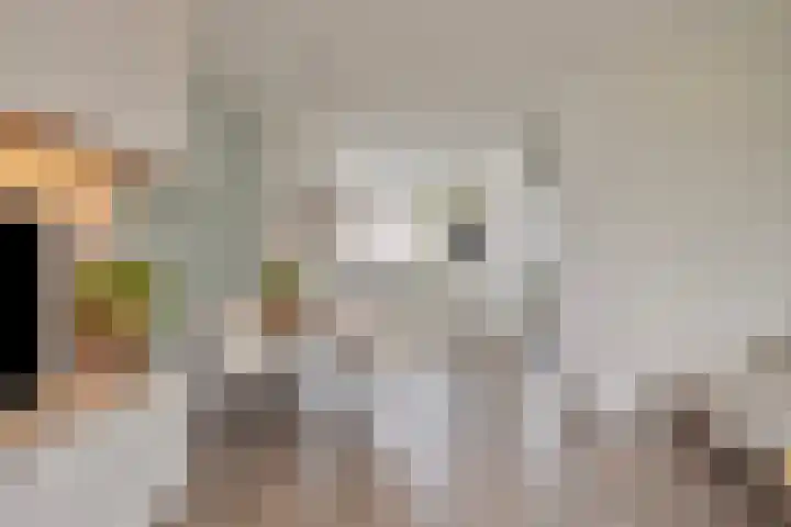 Sterrennacht 32 Helvoirt thumbnail 5