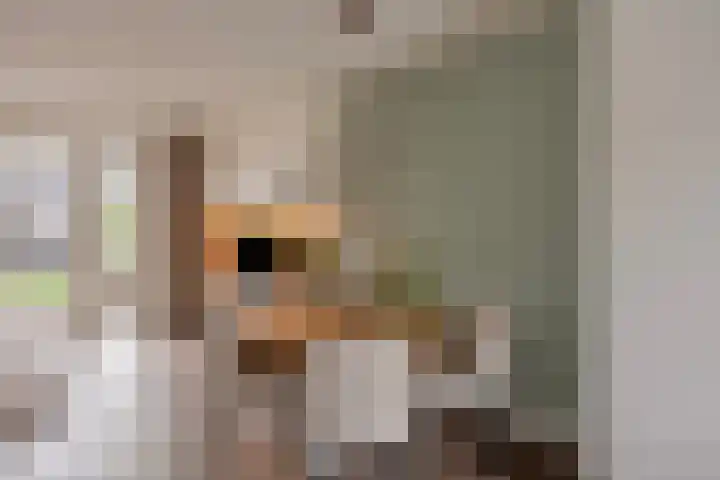 Sterrennacht 32 Helvoirt thumbnail 6