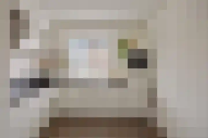 Sterrennacht 32 Helvoirt thumbnail 8
