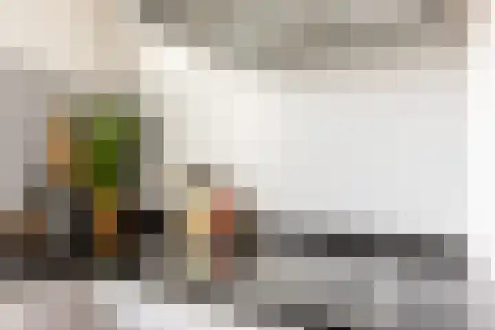 Sterrennacht 34 Helvoirt thumbnail 10