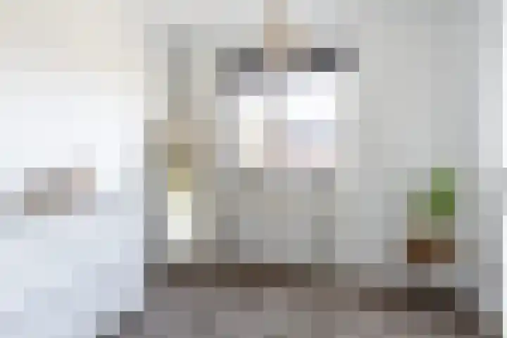 Sterrennacht 34 Helvoirt thumbnail 16