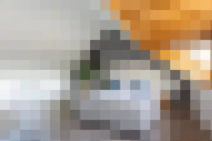 Sterrennacht 34 Helvoirt thumbnail 22