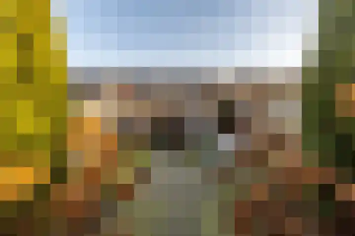 Sterrennacht 34 Helvoirt thumbnail 28