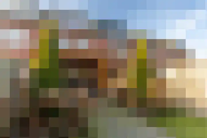 Sterrennacht 34 Helvoirt thumbnail 31