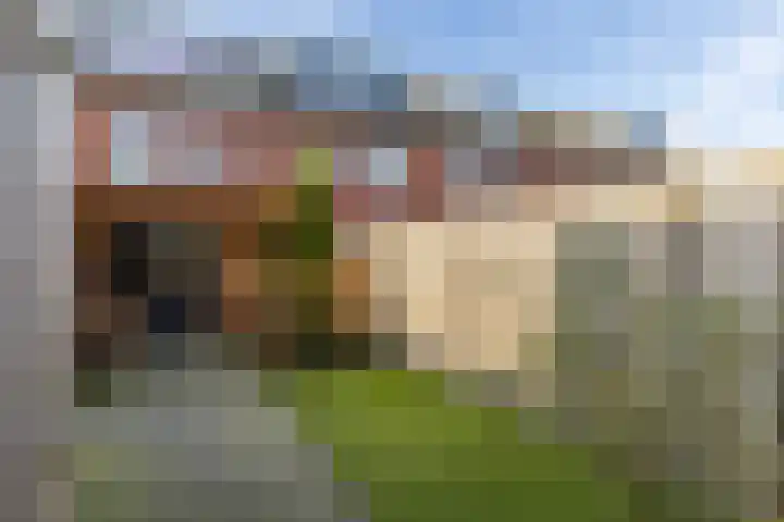 Sterrennacht 34 Helvoirt thumbnail 32