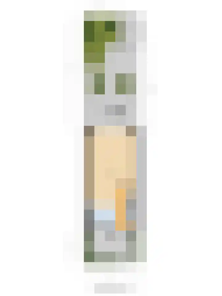 Sterrennacht 34 Helvoirt thumbnail 33