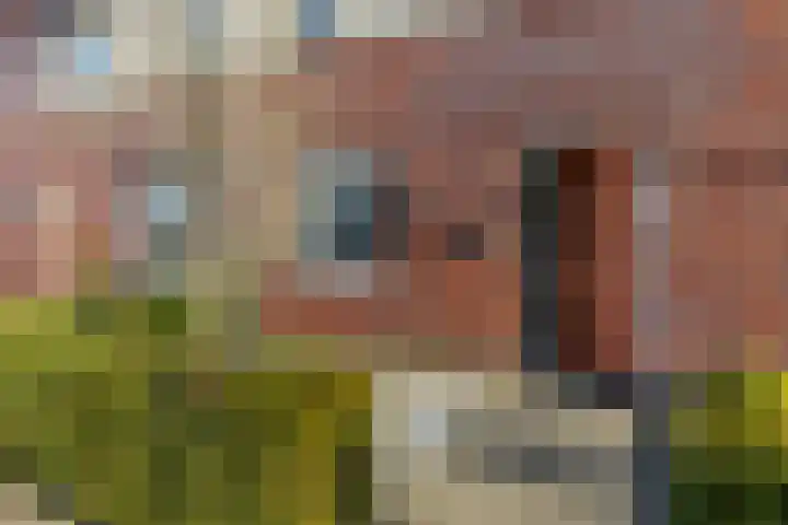 Sterrennacht 34 Helvoirt thumbnail 35