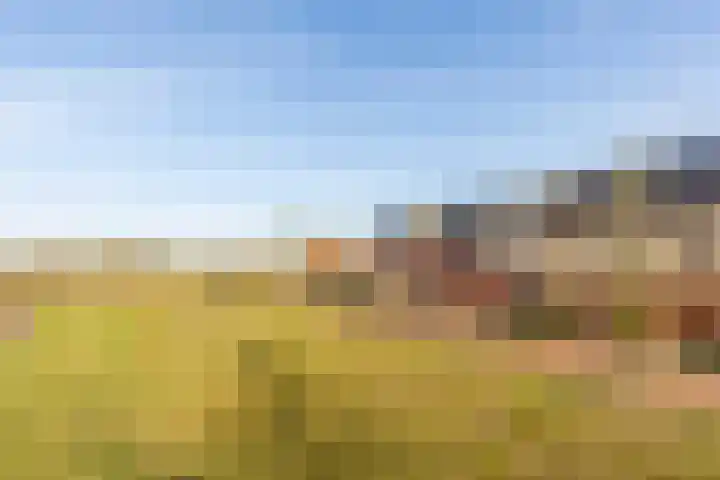 Sterrennacht 34 Helvoirt thumbnail 39