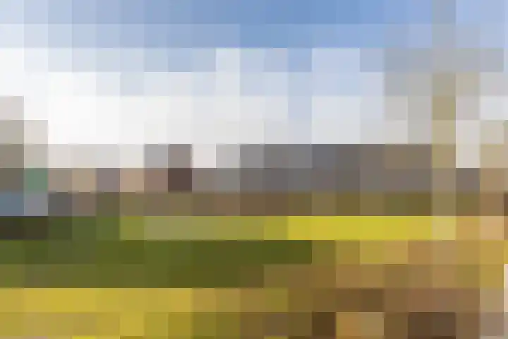 Sterrennacht 34 Helvoirt thumbnail 40