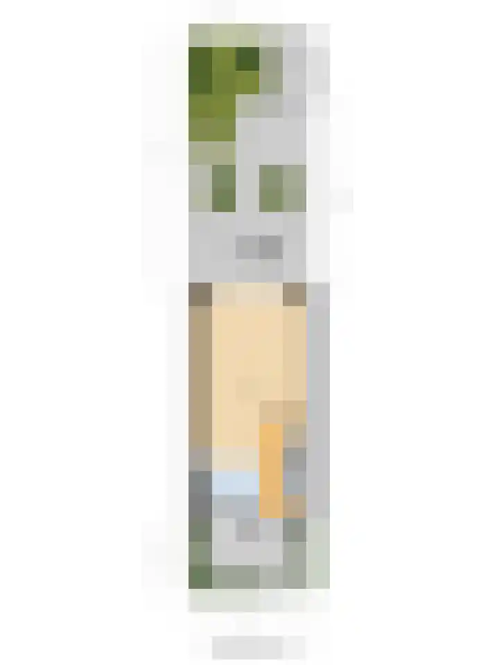 Sterrennacht 34 Helvoirt thumbnail 44