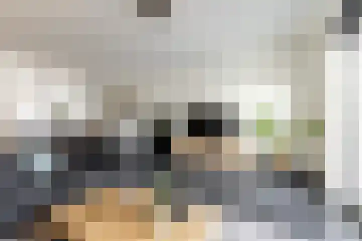 Sterrennacht 34 Helvoirt thumbnail 5