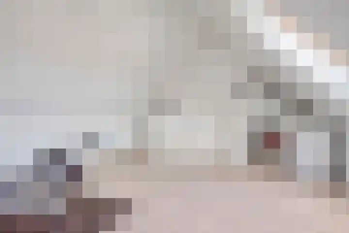 Sterrennacht 4 Helvoirt thumbnail 29