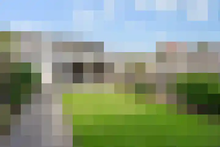 Sterrennacht 4 Helvoirt thumbnail 32