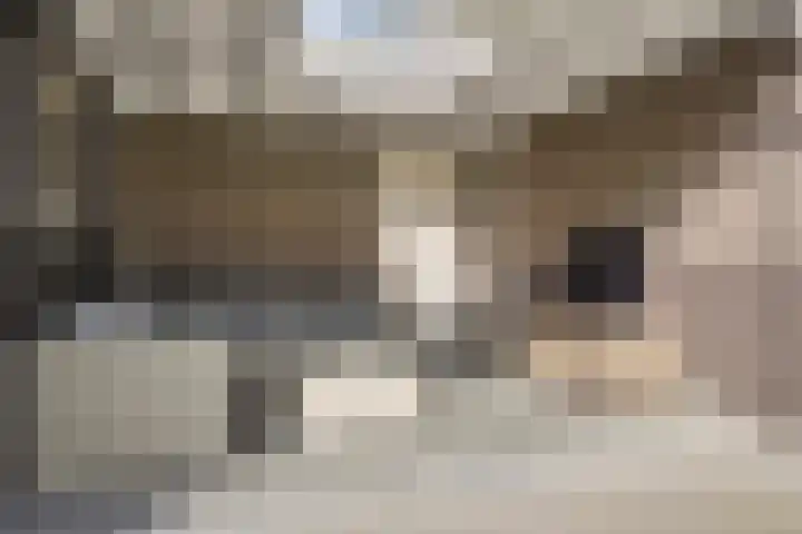 Sterrennacht 4 Helvoirt thumbnail 33