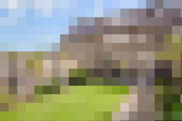 Sterrennacht 4 Helvoirt thumbnail 34