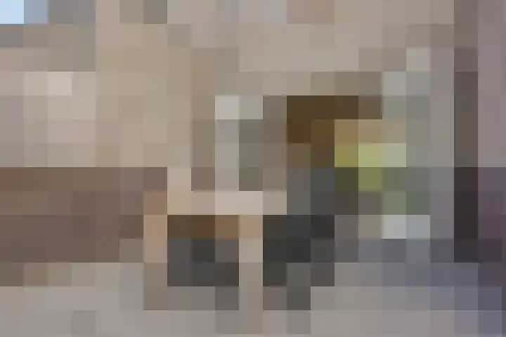 Sterrennacht 4 Helvoirt thumbnail 35