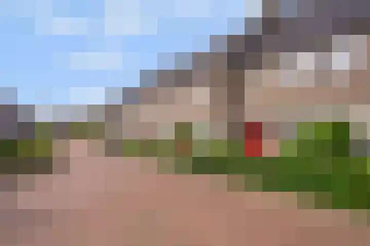 Sterrennacht 4 Helvoirt thumbnail 37