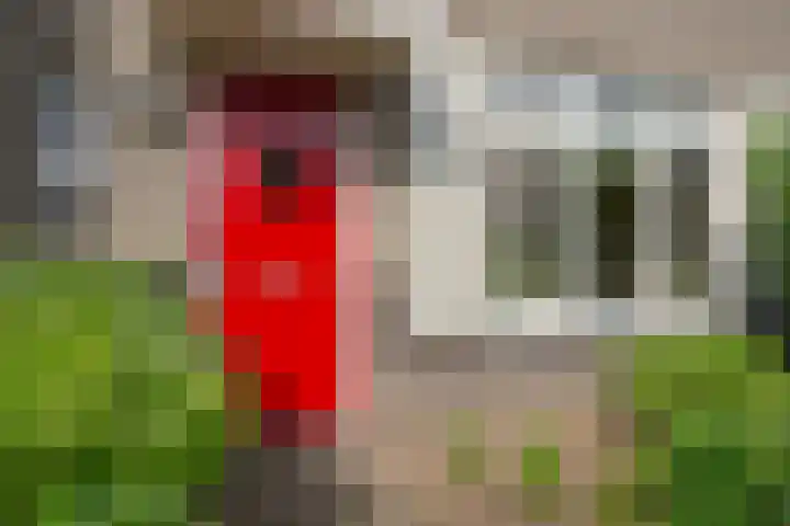 Sterrennacht 4 Helvoirt thumbnail 5